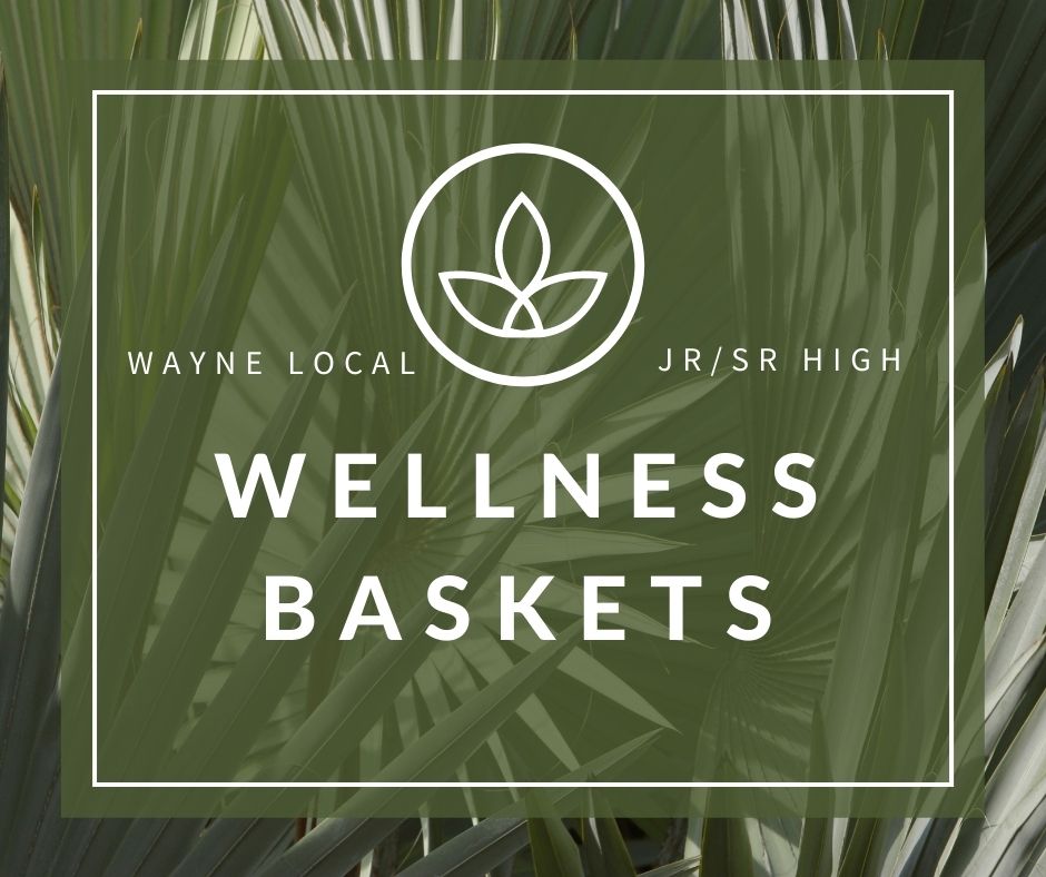 wellness baskets